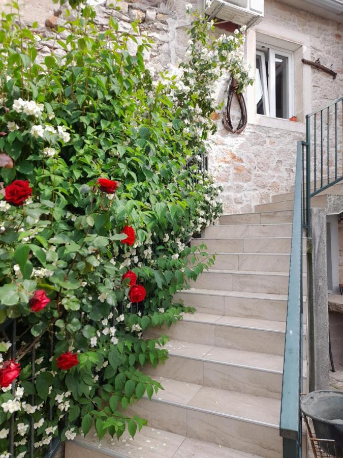 Apartmani Sanja Šibenik Dış mekan fotoğraf