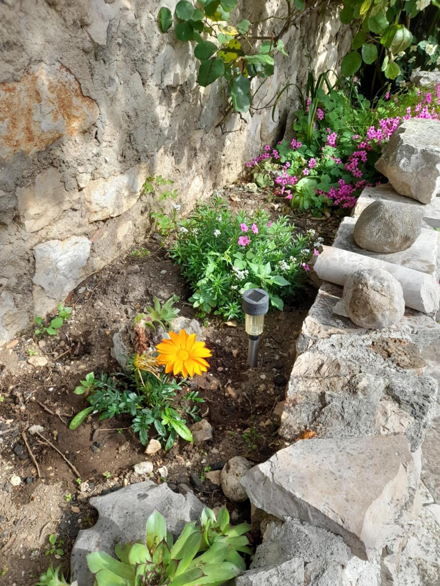Apartmani Sanja Šibenik Oda fotoğraf
